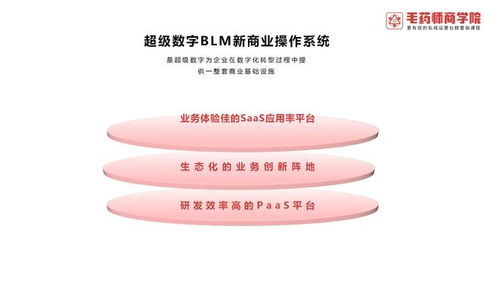 超级数字BLM新商业操作系统 引领数字技术服务新纪元